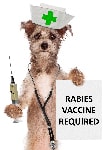 Illustration of a dog showing that rabies vaccines are required